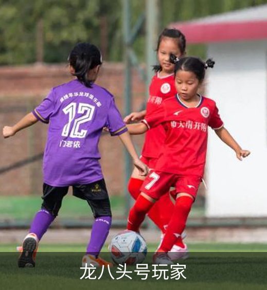 龙八头号玩家介绍